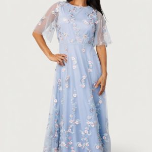 Arabella Embroidered Tulle Maxi Dress | Light Blue + Blush